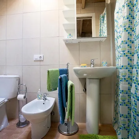 Petunia 75 エル・メダノ