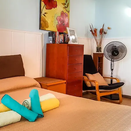 Petunia 75 * エル・メダノ